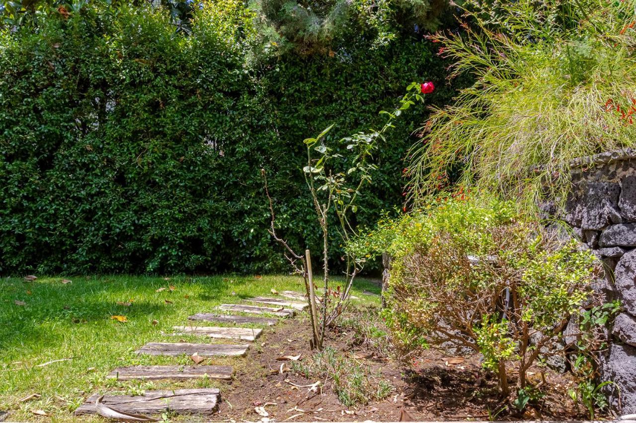 Villa Magdalena Aci SantʼAntonio Dış mekan fotoğraf